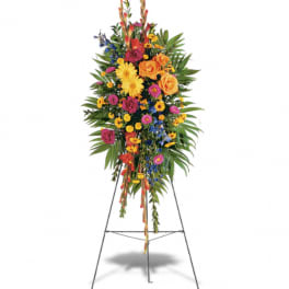 Celebration of Life
