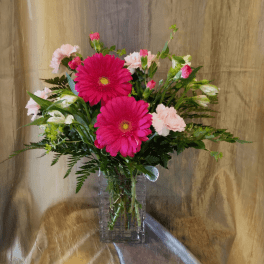 Daisy About You ~ Flower A Day