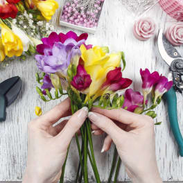 Hands holding a bunch of colorful freesia flowers on a table