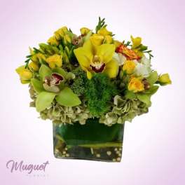 Yellow orchid and rose arrangement in a square glass vase