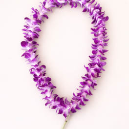 Hawaiian Lei