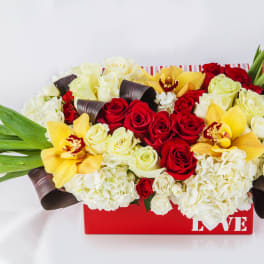 Vibrant Valentine