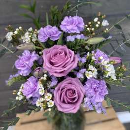 Violet Vibes