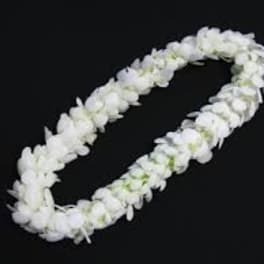 White flower lei on a black background