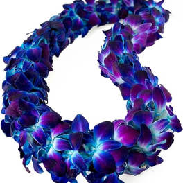 Blue orchid lei ( double layer )