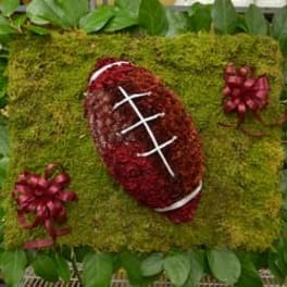 Football-shaped floral display on a moss-covered square panel with ribbon accents