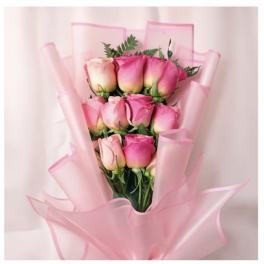 Bouquet of pink roses wrapped in sheer pink paper