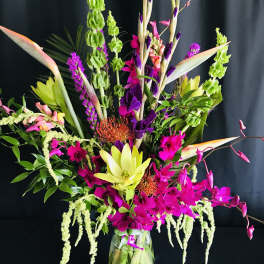 Vivid Bird of Paradise Orchid Exotics