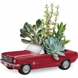 Dream Wheels '65 Ford Mustang by Teleflora