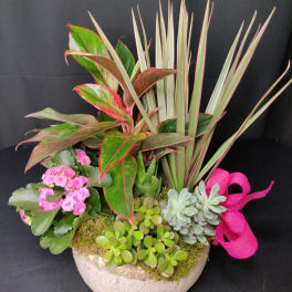Large pink tinged plantscape