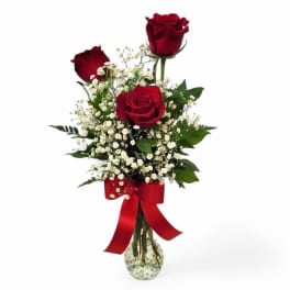 Simply Roses