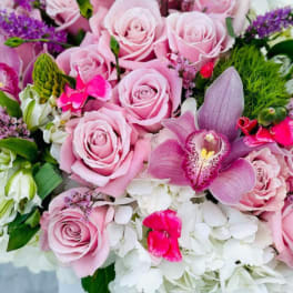 Designer Choice Mother's Day