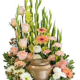 Divine Grace Surround