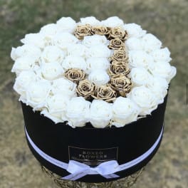 Signature initial black box