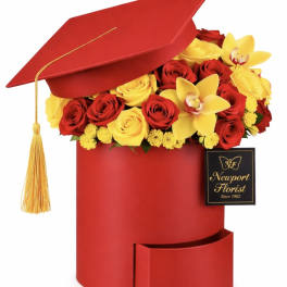 Crimson & Gold Honors Collection NF-Y49
