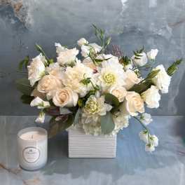 Hermoso Blanca