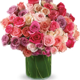 Rose Rapture