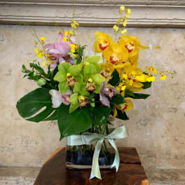 Mixed orchids in a glass vase with a pale ribbon