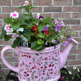 A Sprinkle of Love in Pink