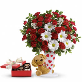 Send a Hug I Ruff You Gift Set DX