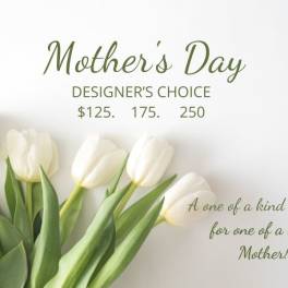 Mother's Day Designer's Choice