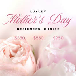 Luxury Designer's Choice