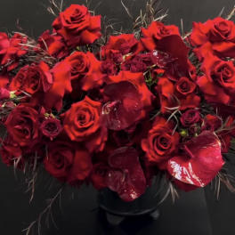 RAVISHING RED