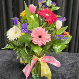 Gerbera to go go!