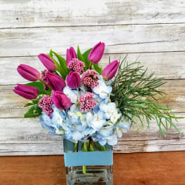 Pink tulips and blue hydrangeas in a square glass vase