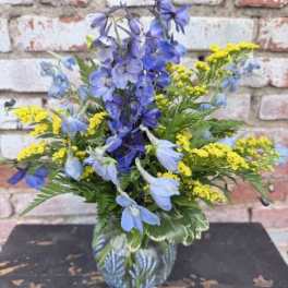 Delphinium Daze
