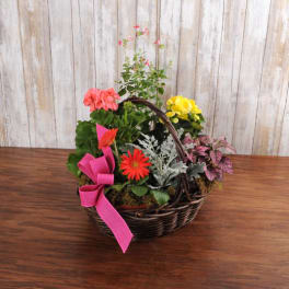 Basket of mixed flowering plants with red and pink blooms and a large pink bow on the handle.