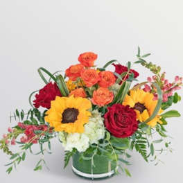 Autumn Blooms