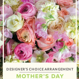 Designer's Choice