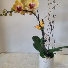 Single Stem Yellow