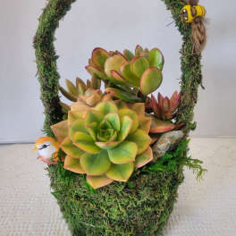 Moss Basket