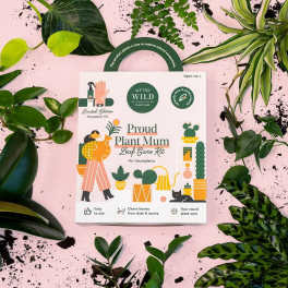 Houseplant care kit box surrounded by assorted green plant leaves