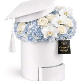 Cloud Nine Graduate NF-Y51