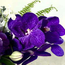 Regal Amethyst Garden Arrangement