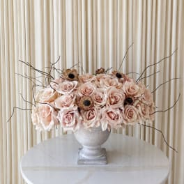Blush Sculpt