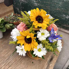 Sunflower and daisy bouquet in a small basket