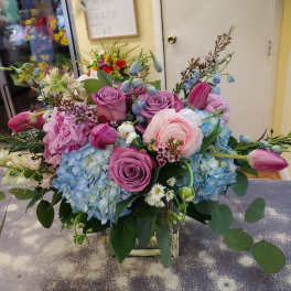 Lovely Blooms