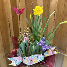 Spring has Sprung