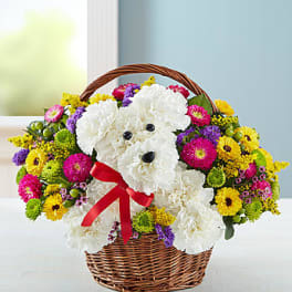 Flower basket arranged as a white dog with a red bow