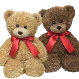 First and Main Spencer Bear