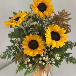 Sunflower Embrace **Container may vary**