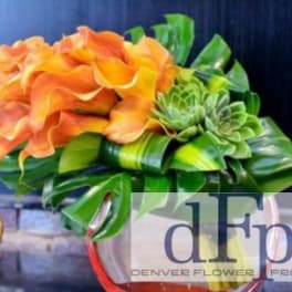 Mini Calla Extravaganza