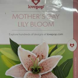 ***MUST BE ORDERED WITH FLOWERS OR PLANTS*** Mother's Day Love Pop Cards