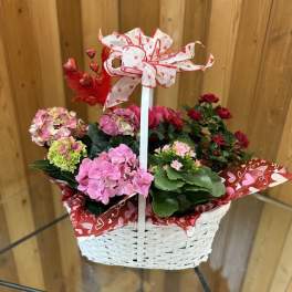 Basket of pink and red potted flowers with a heart ribbon bow