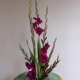 Tall arrangement of magenta flowers with long grass-like stems in a shallow green bowl