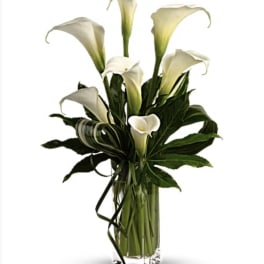 White calla lilies arranged in a clear glass vase